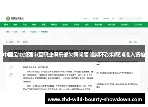 中国足协加强审查职业俱乐部欠薪问题 逾期不改将取消准入资格 中国足协加强审查职业俱乐部欠薪问题 逾期不改将取消准入资格